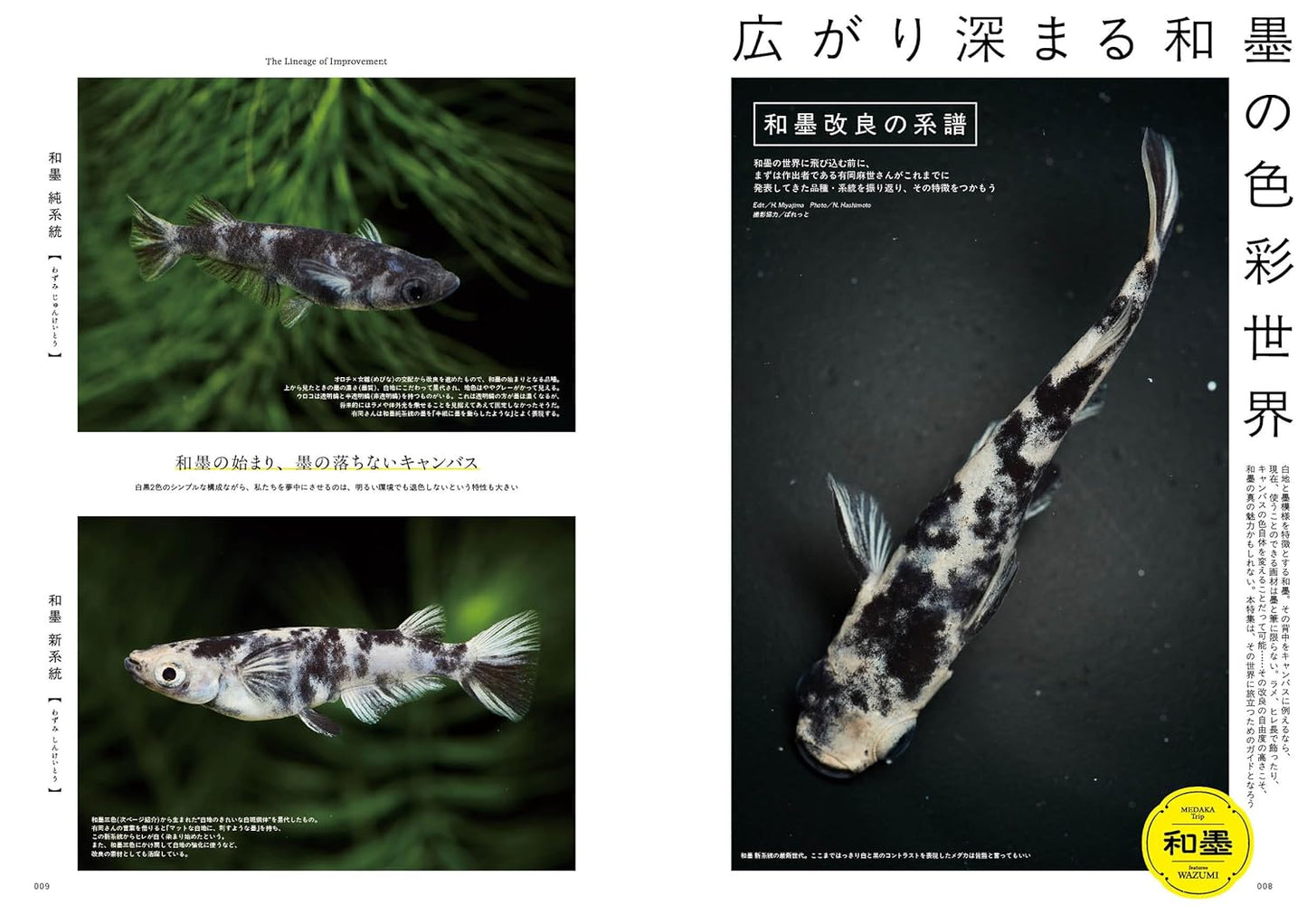 Medaka Trip Vol.1 2025-26 AUTUMN/WINTER