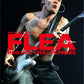 Bass Magazine Archives Flea cover