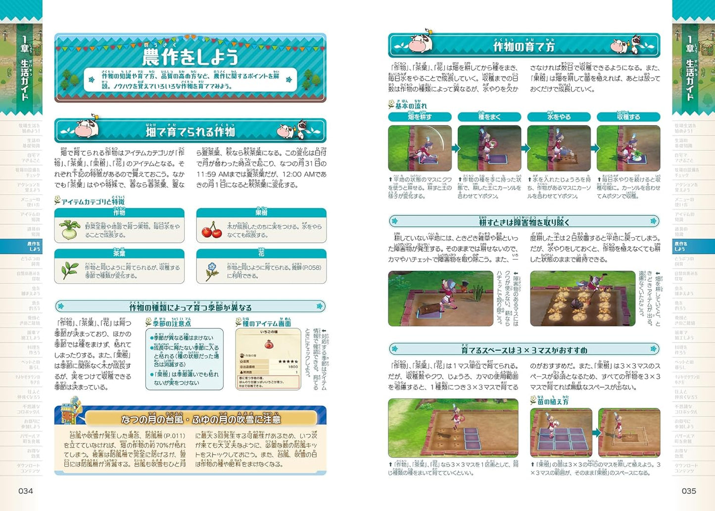 Story of Seasons: Grand Bazaar Official Guide Book