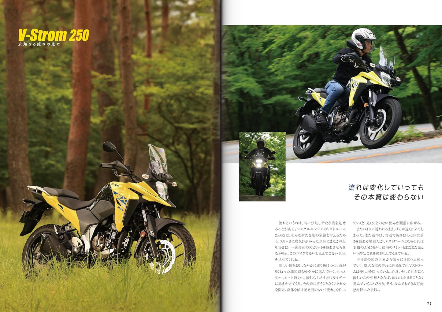 SUZUKI V-Strom 250 Custom & Maintenance