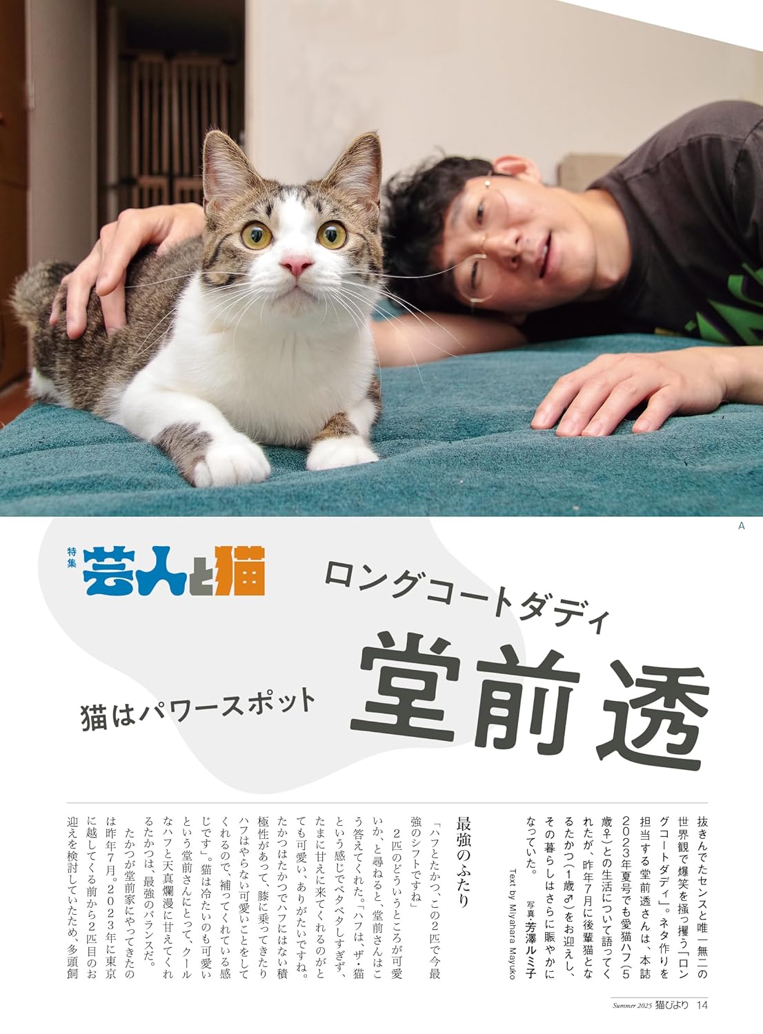 Neko Biyori Summer 2025