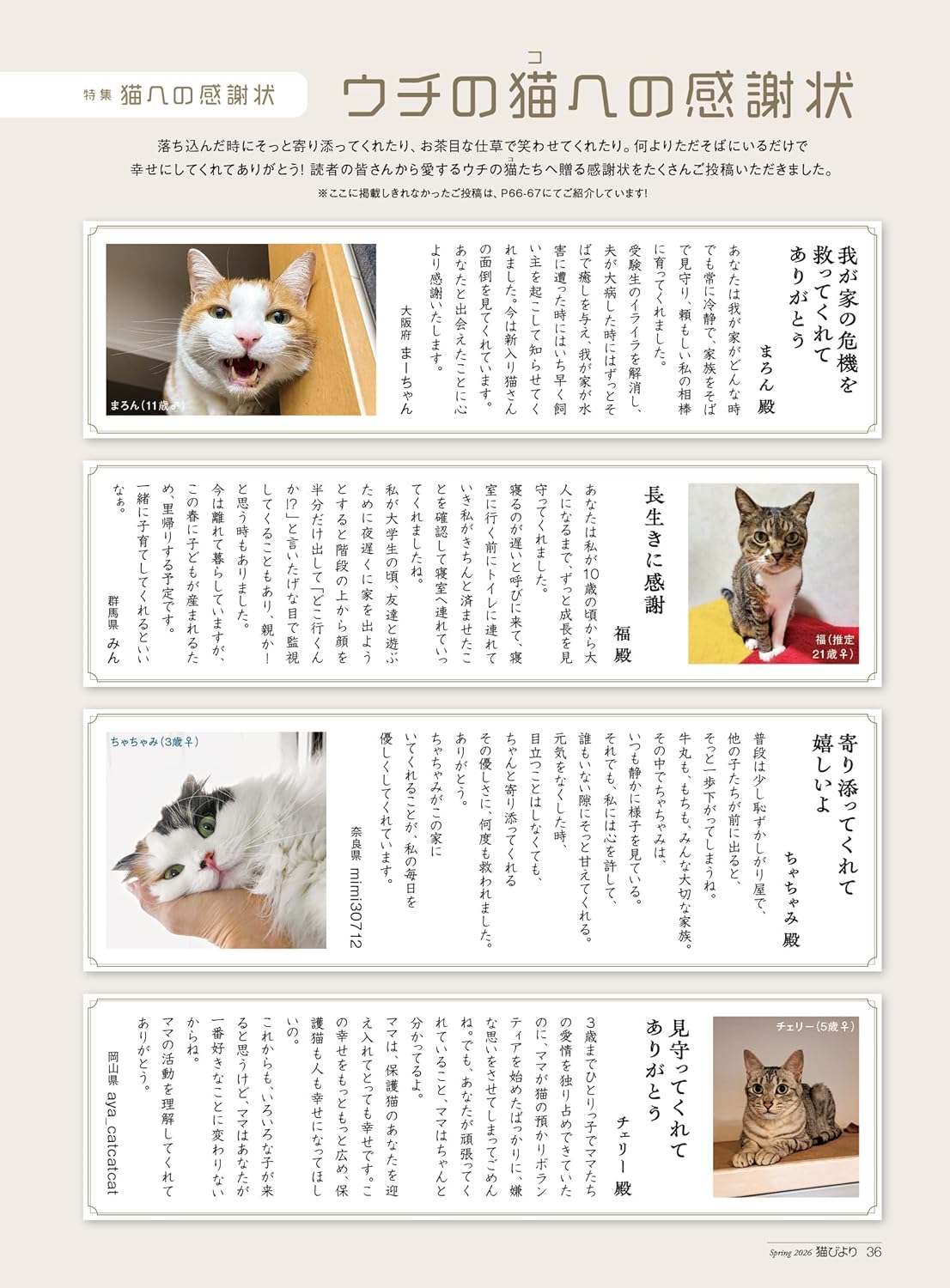 Neko Biyori Spring 2026