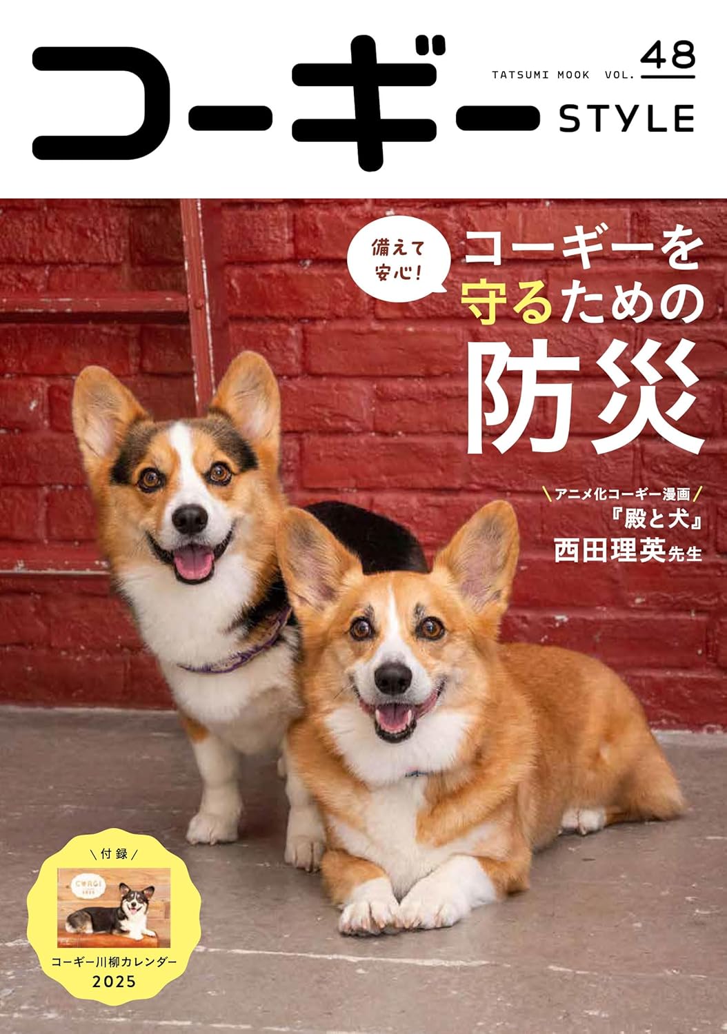 Corgi Style Vol.48