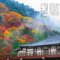 Monthly Kyoto November 2026