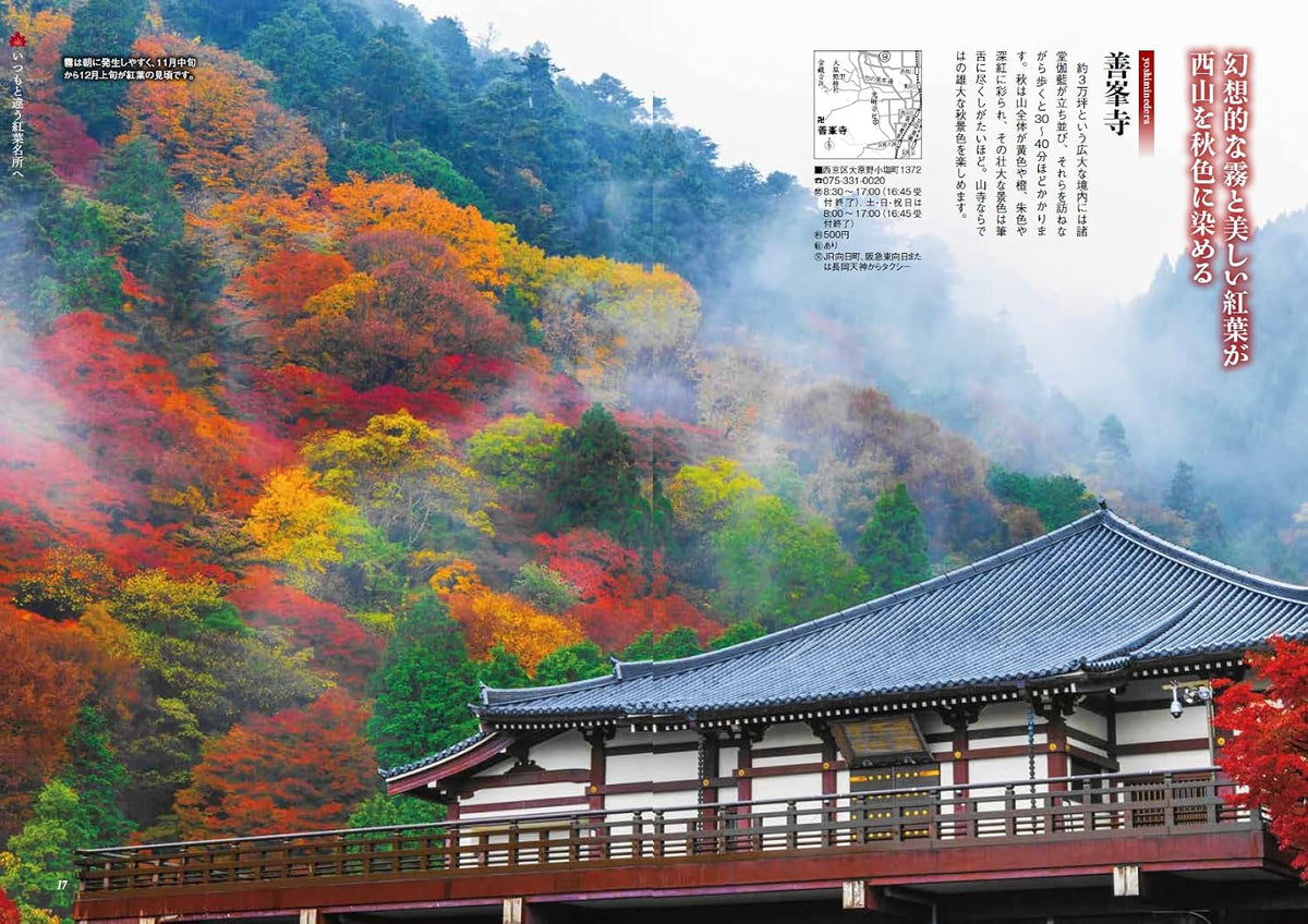 Monthly Kyoto November 2026