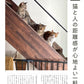 Neko Biyori Autumn 2025