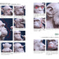 Animal Modeling - Zoological Anatomy for Sculptors Expanded Edition