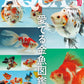 Monthly Aqualife October 2026 cover