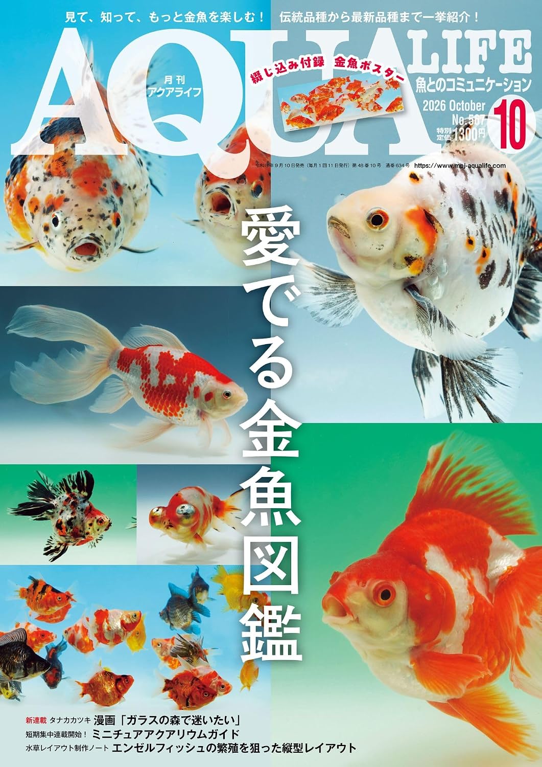 Monthly Aqualife October 2026 cover