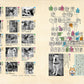 Akita Inu Reference Collection