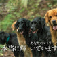 RETRIEVER October 2024 Vol.117