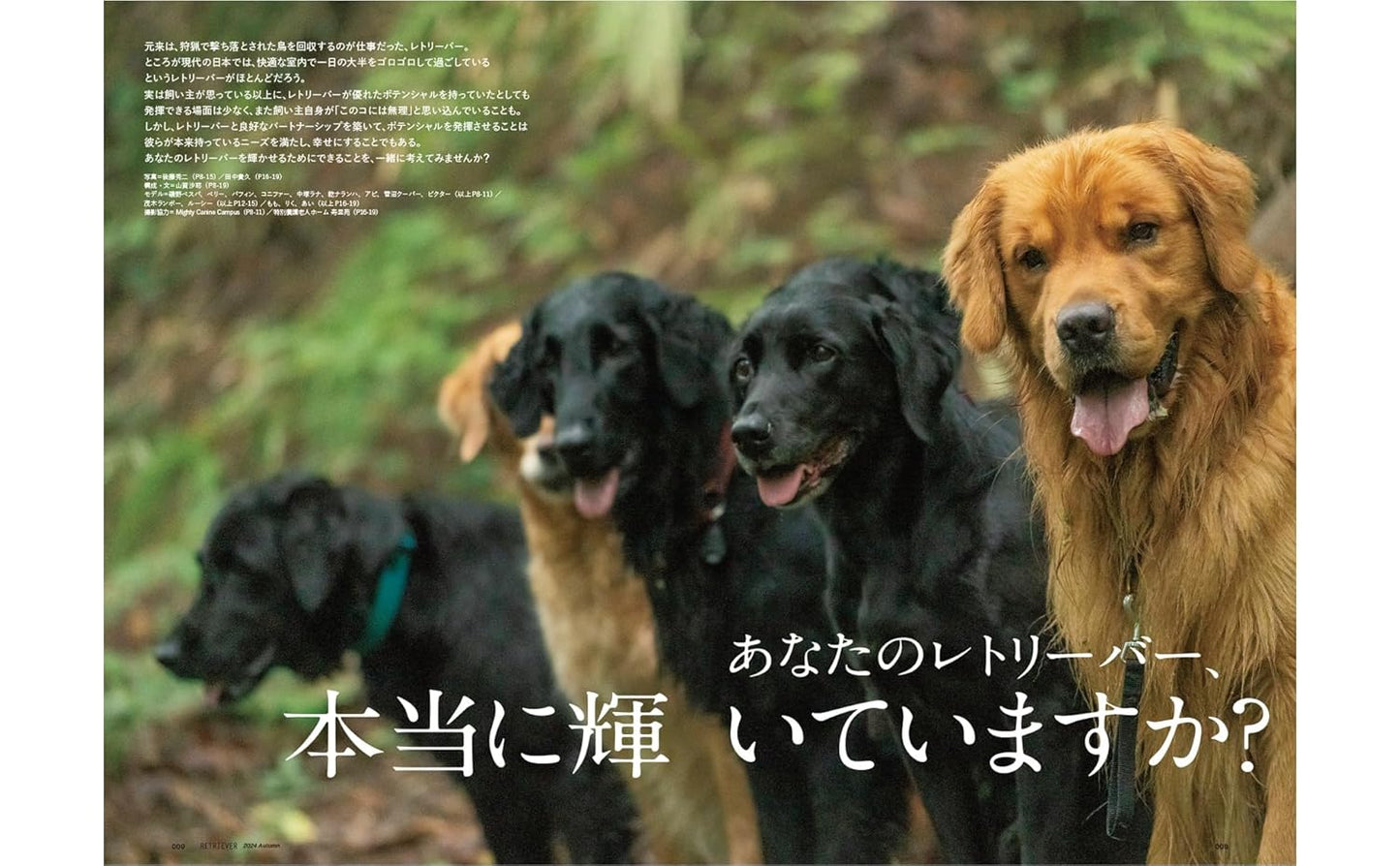 RETRIEVER October 2024 Vol.117