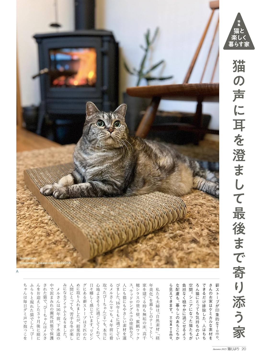 Neko Biyori Autumn 2025