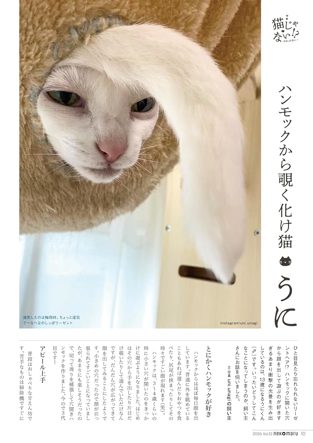 Nekomaru Summer/Autumn 2026