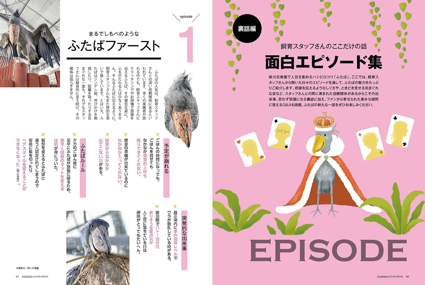 Shoebill Futaba: Complete Fan Book