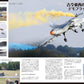 J-Wings November 2026