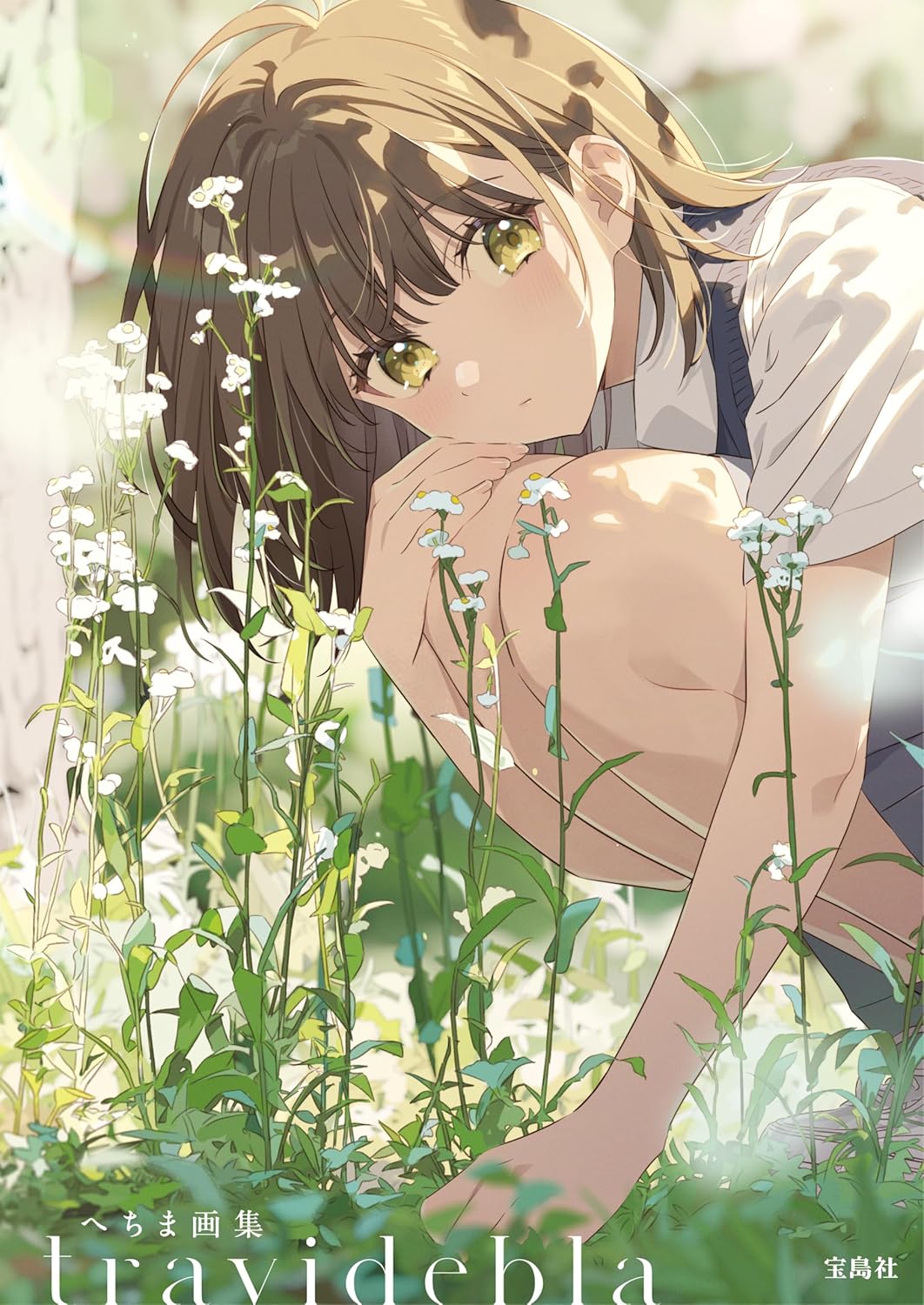 Hechima Art Book travidebla cover featuring colorful anime-style illustrations.