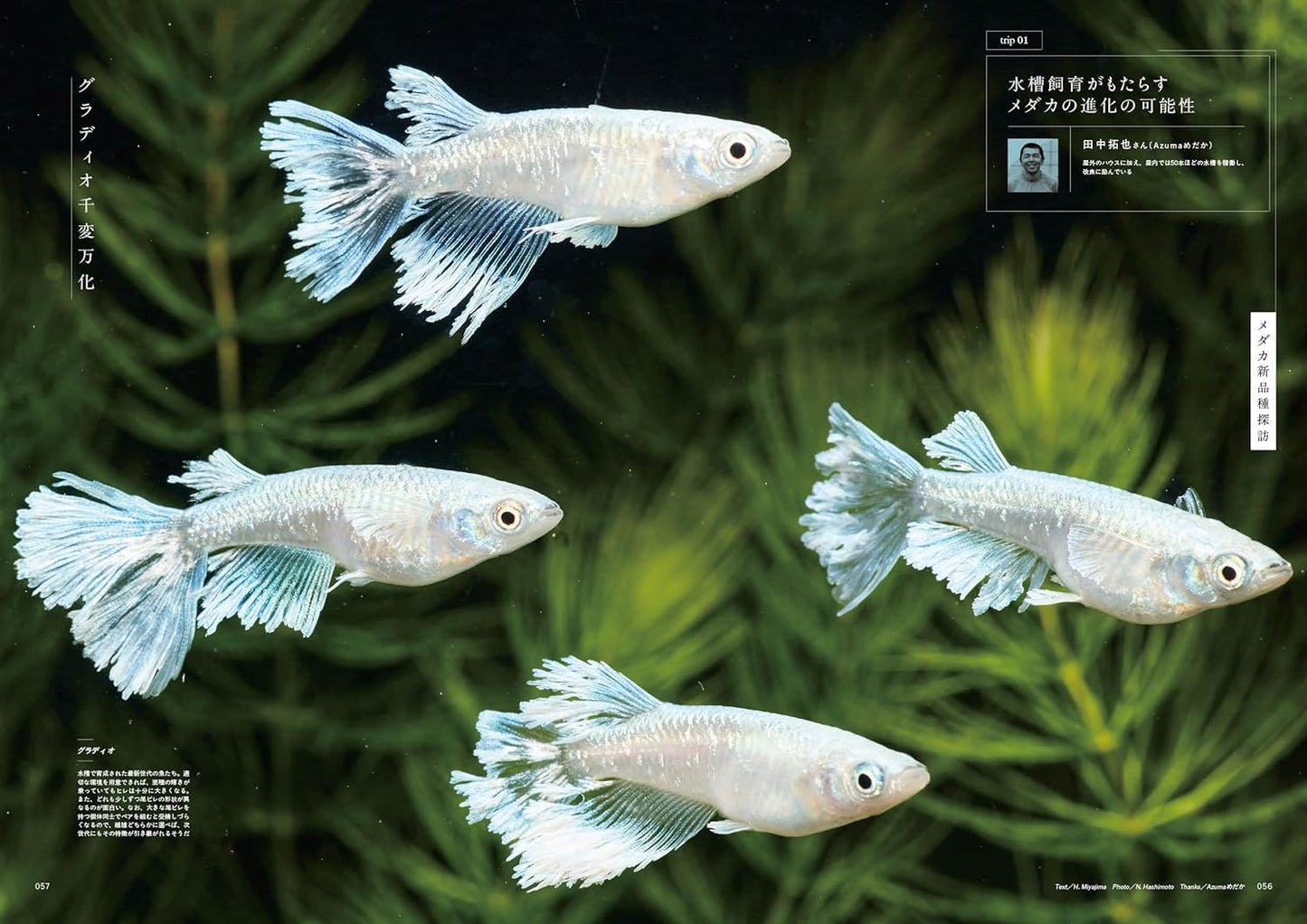 Medaka Trip Vol.1 2025-26 AUTUMN/WINTER