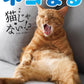 Nekomaru Summer Autumn 2026 cat magazine cover