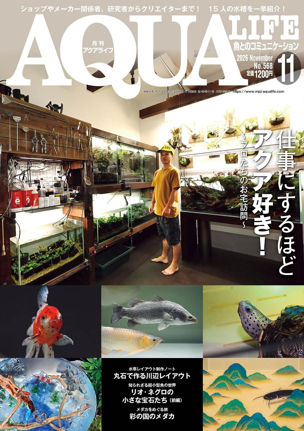 Monthly Aqualife November 2026 cover