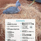 Shoebill Futaba: Complete Fan Book