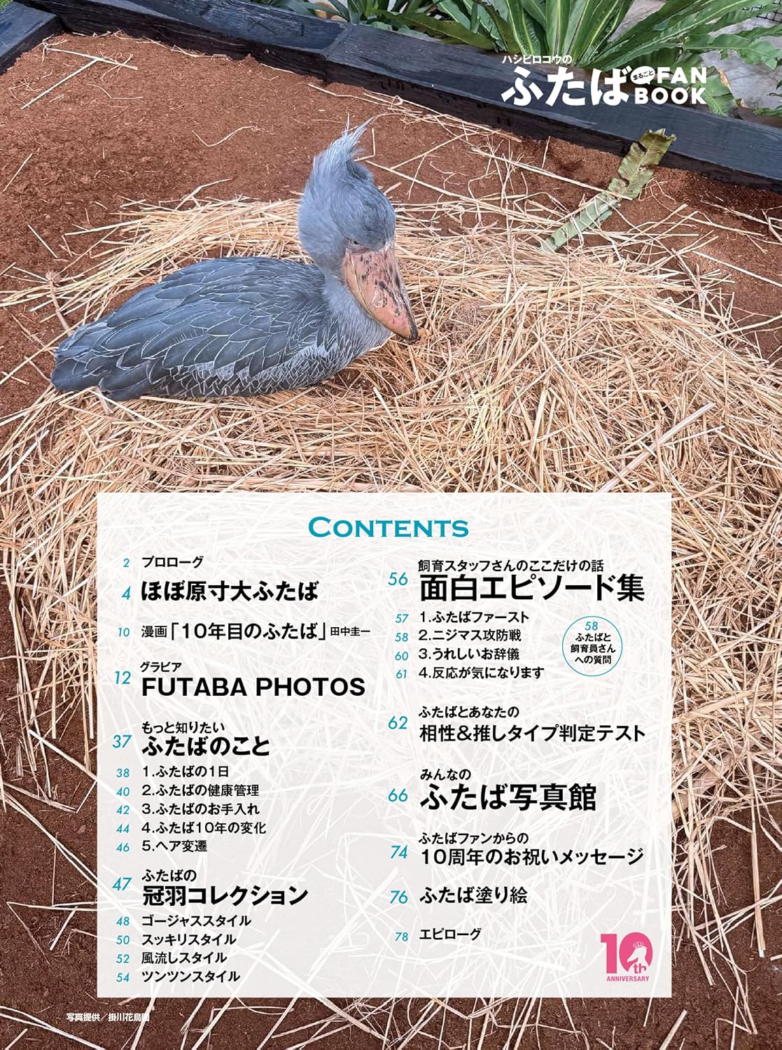 Shoebill Futaba: Complete Fan Book