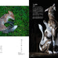 ARTcollectors' October 2026