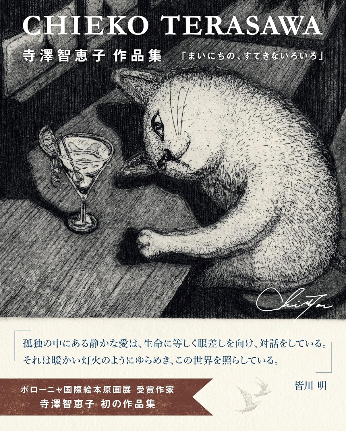Chieko Terasawa Works Collection Mainichi no Suteki na Iroiro cover