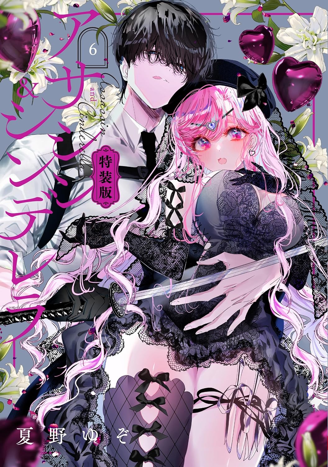 Assassin and Cinderella Vol.6 Special Edition cover