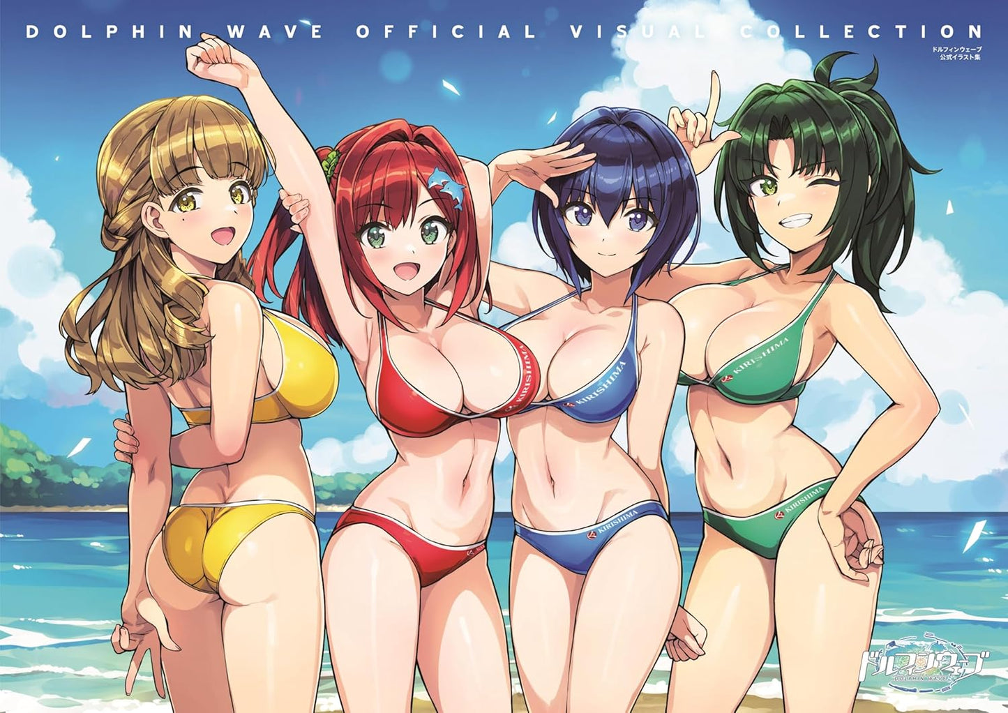 Dolphin Wave Official Visual Collection book cover