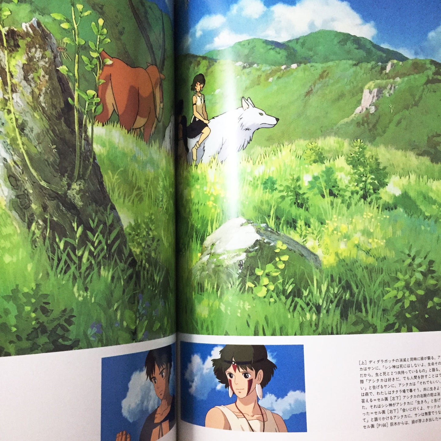 The Art of Princess Mononoke  / Studio Ghibli