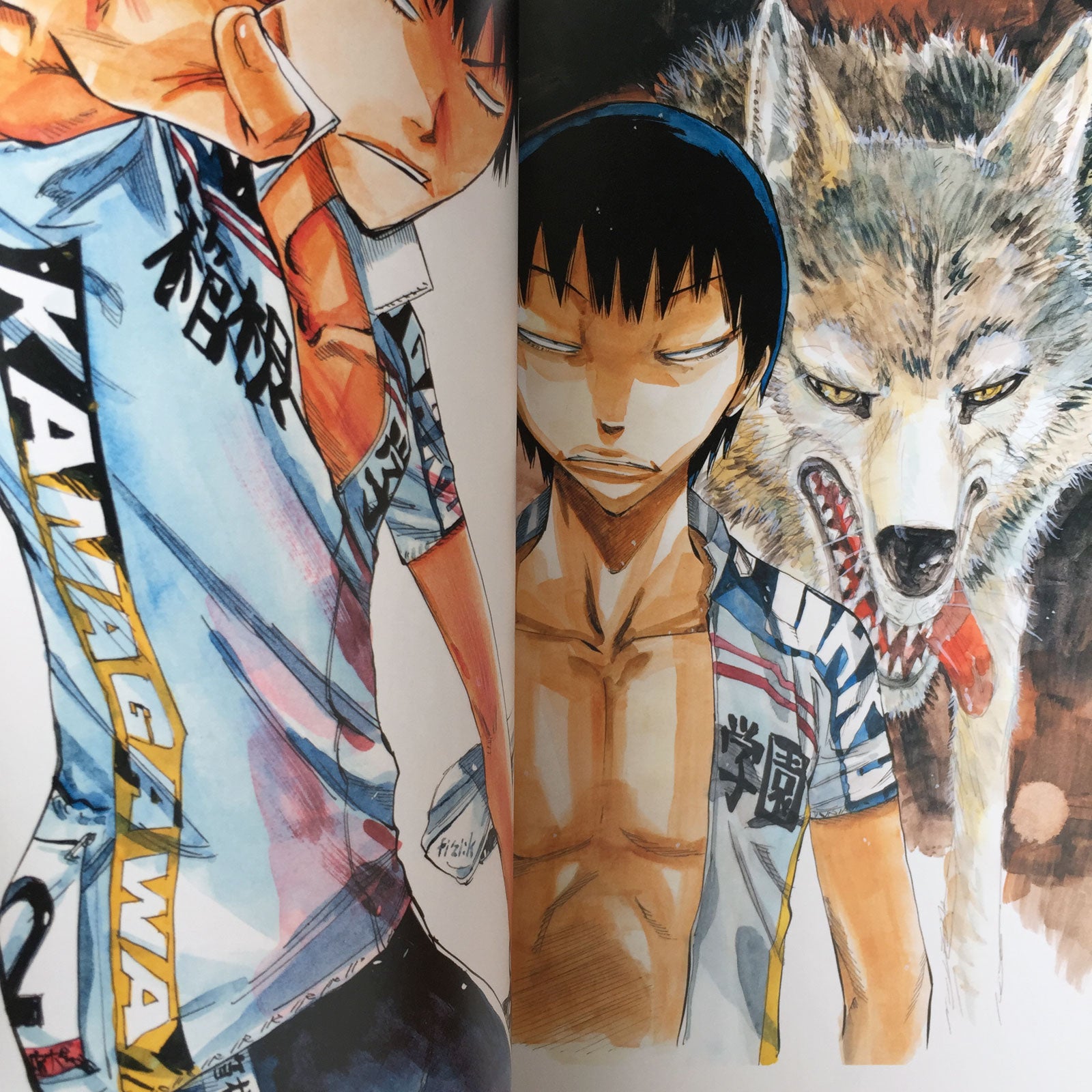 yowamushi pedal manga english Yowamushi Pedal Genga Collection COLORS – MOYASHI JAPAN BOOKS