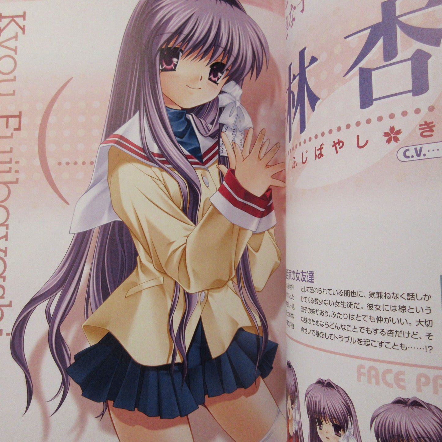 CLANNAD Official Complete Guide