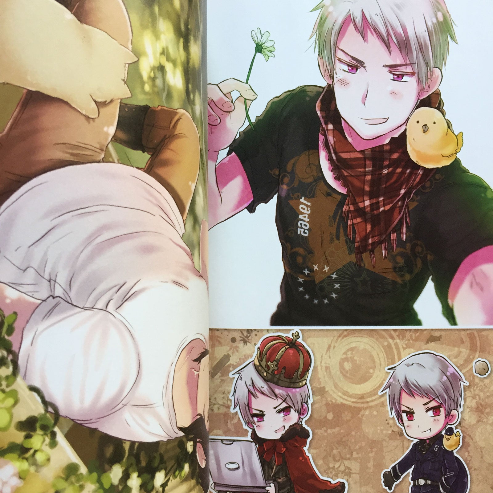 Hetalia Axis Powers Art Book ArteStella