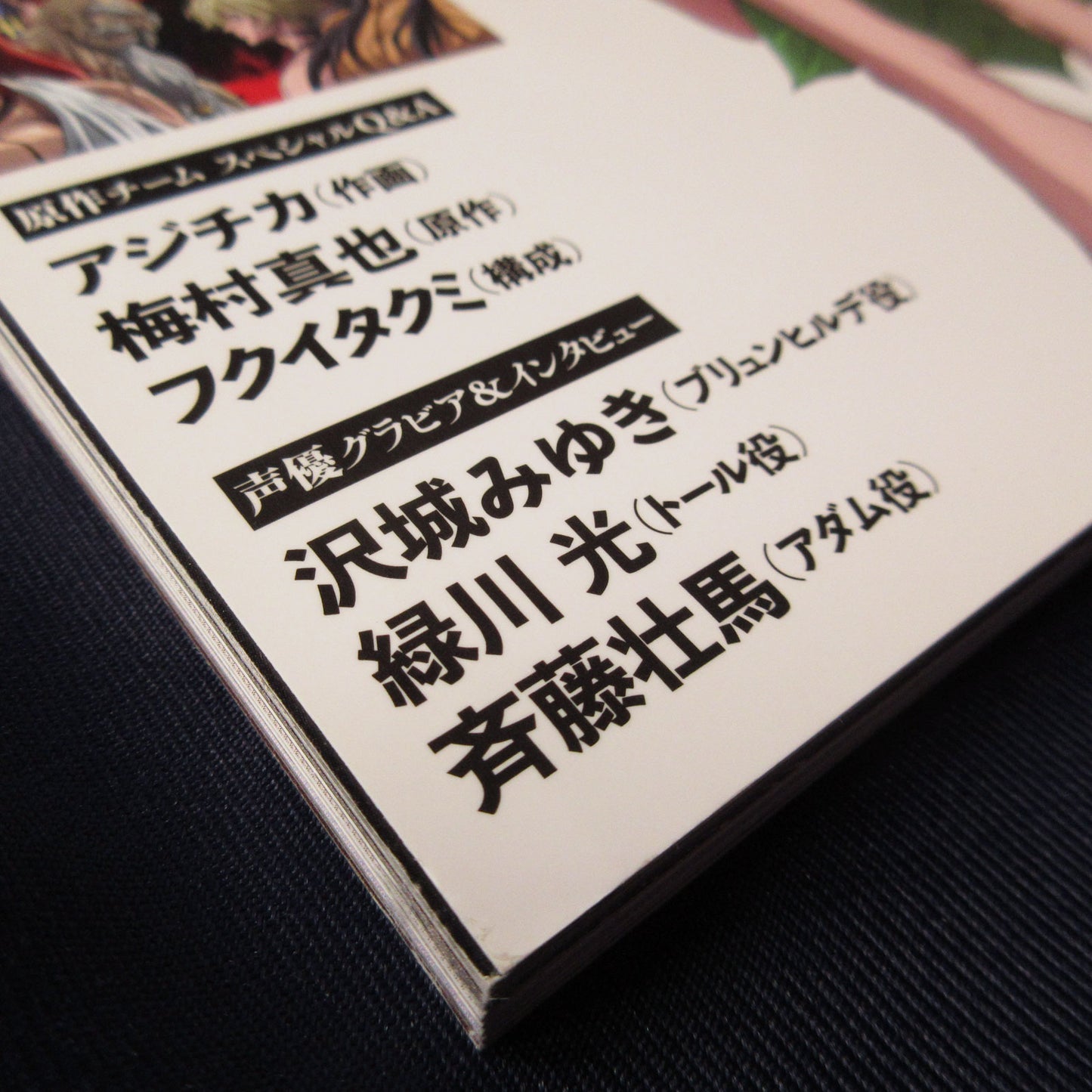Record of Ragnarok TV Animation Official Guide Book