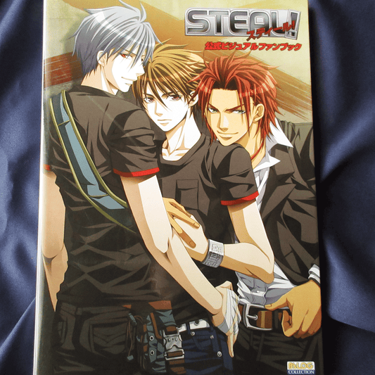 Steal! Official Visual Fan Book