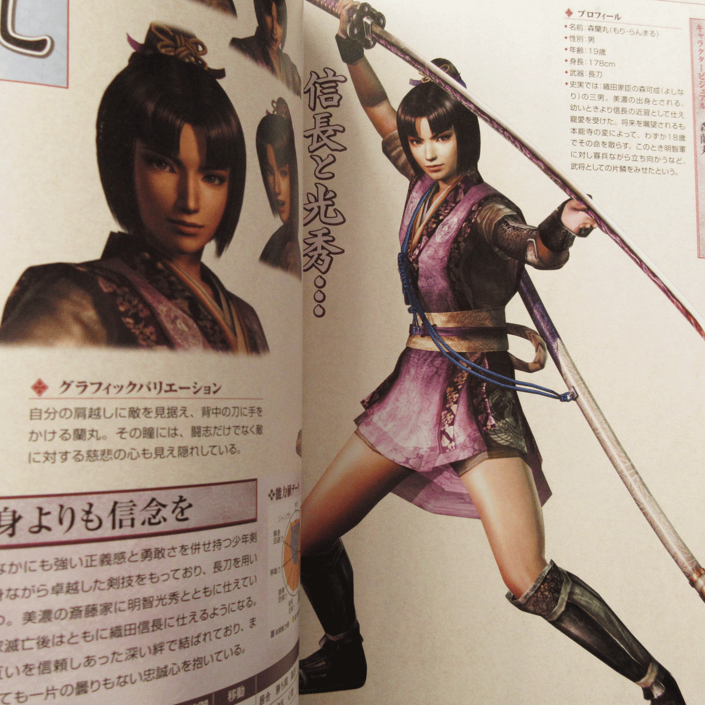 Sengoku Musou Official Data Book ( Samurai Warriors)