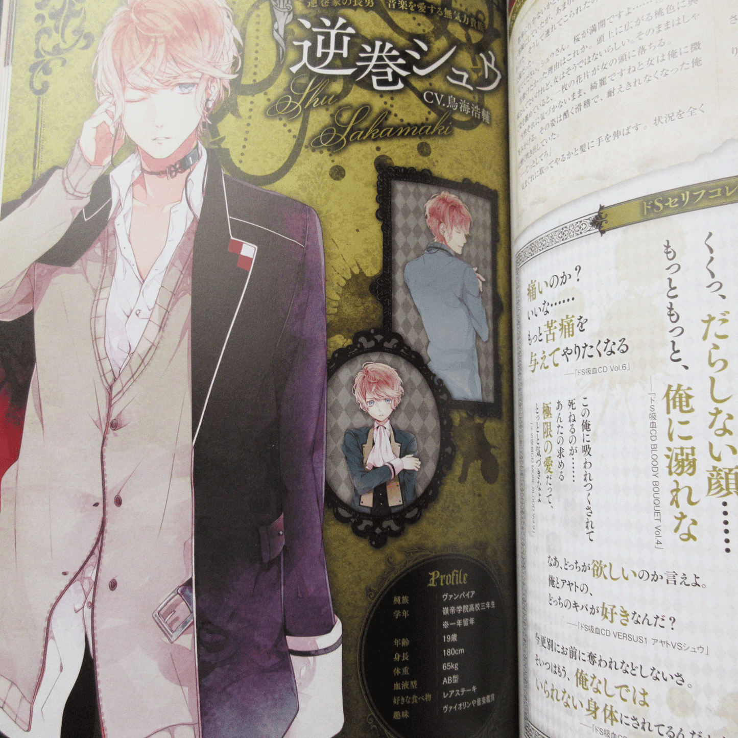 DIABOLIK LOVERS 5th Anniversary Book