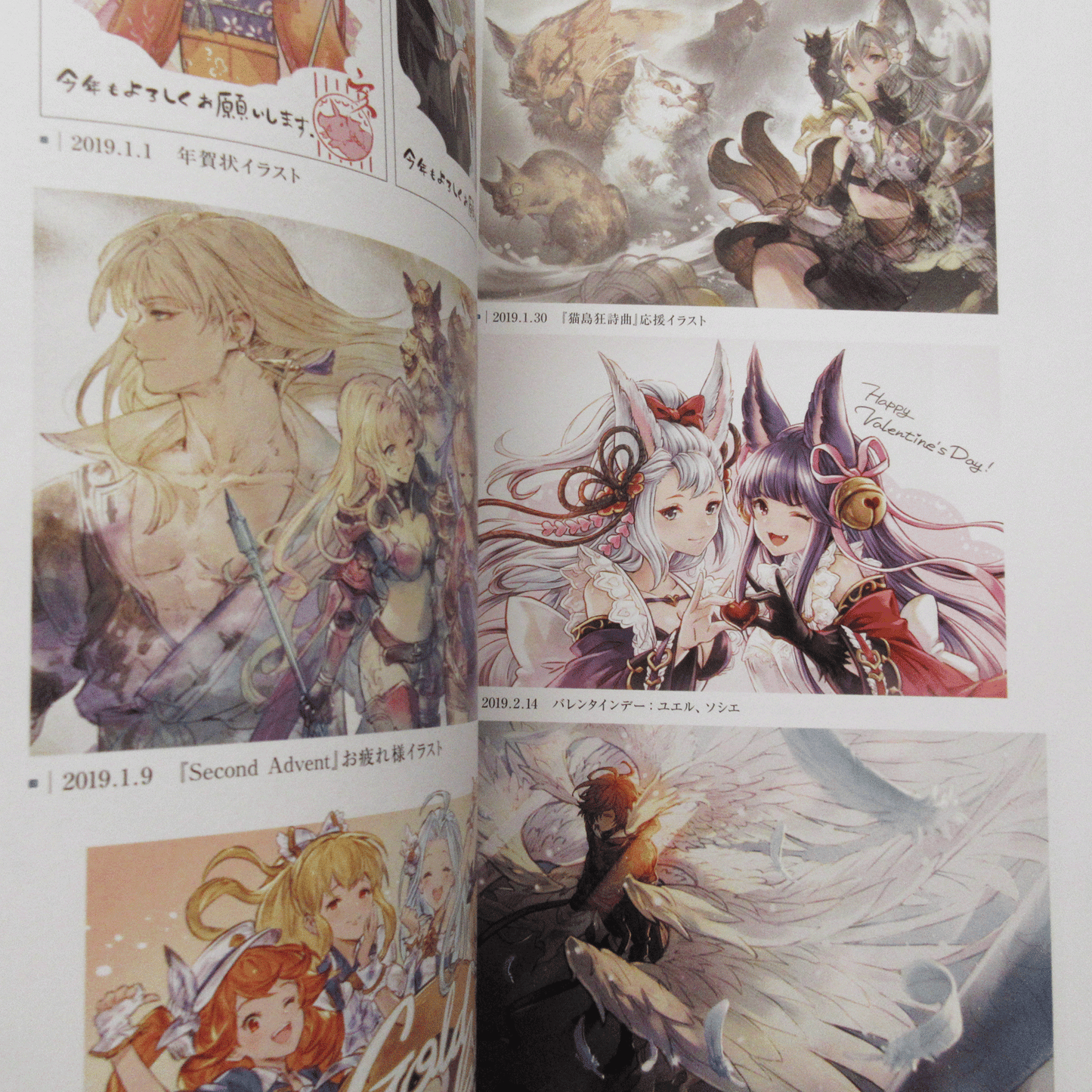 GRANBLUE FANTASY Graphic Archive 6 EXTRA WORKS