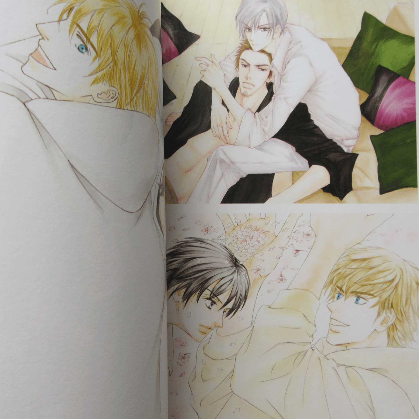 Yuki Shimizu ZE Color Works "IRO NO HON"