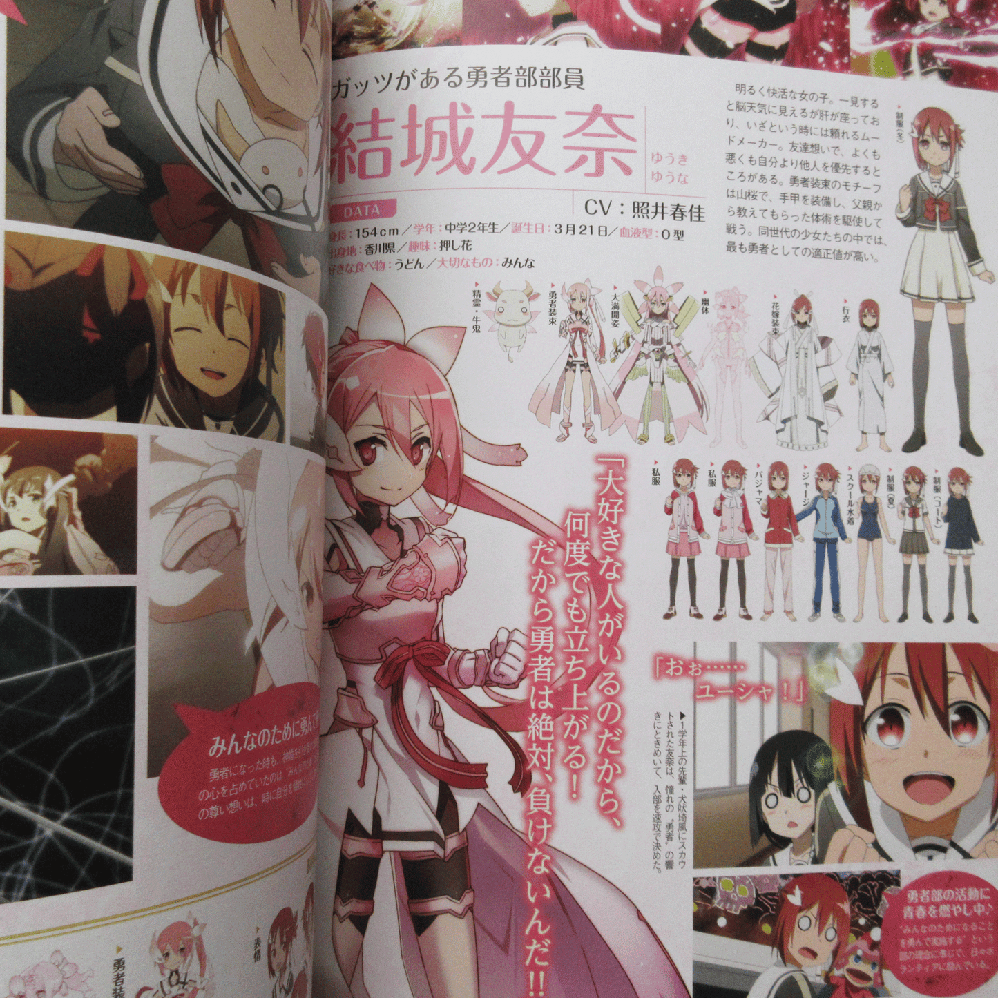 Yuki Yuna Is a Hero Memorial Book