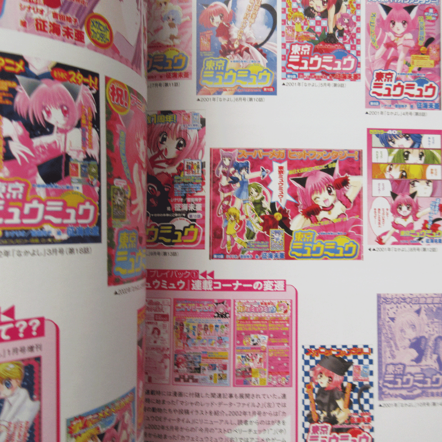 Tokyo Mew Mew New Official Visual Book