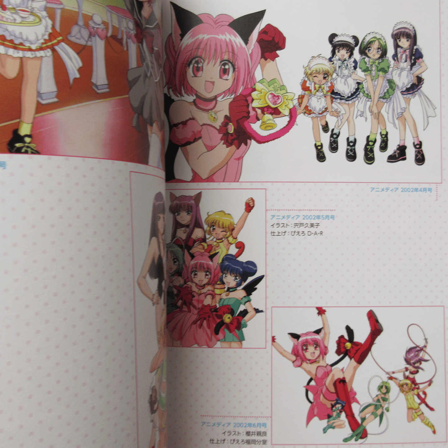 Tokyo Mew Mew New Official Visual Book