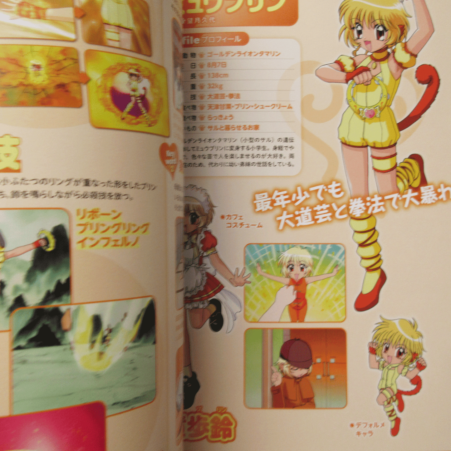 Tokyo Mew Mew New Official Visual Book