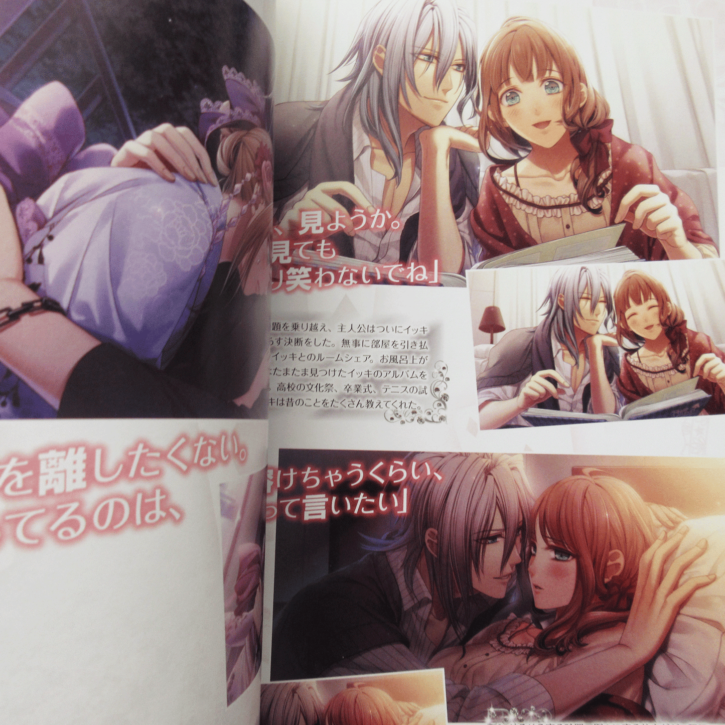 Amnesia Later Official Visual Fan Book