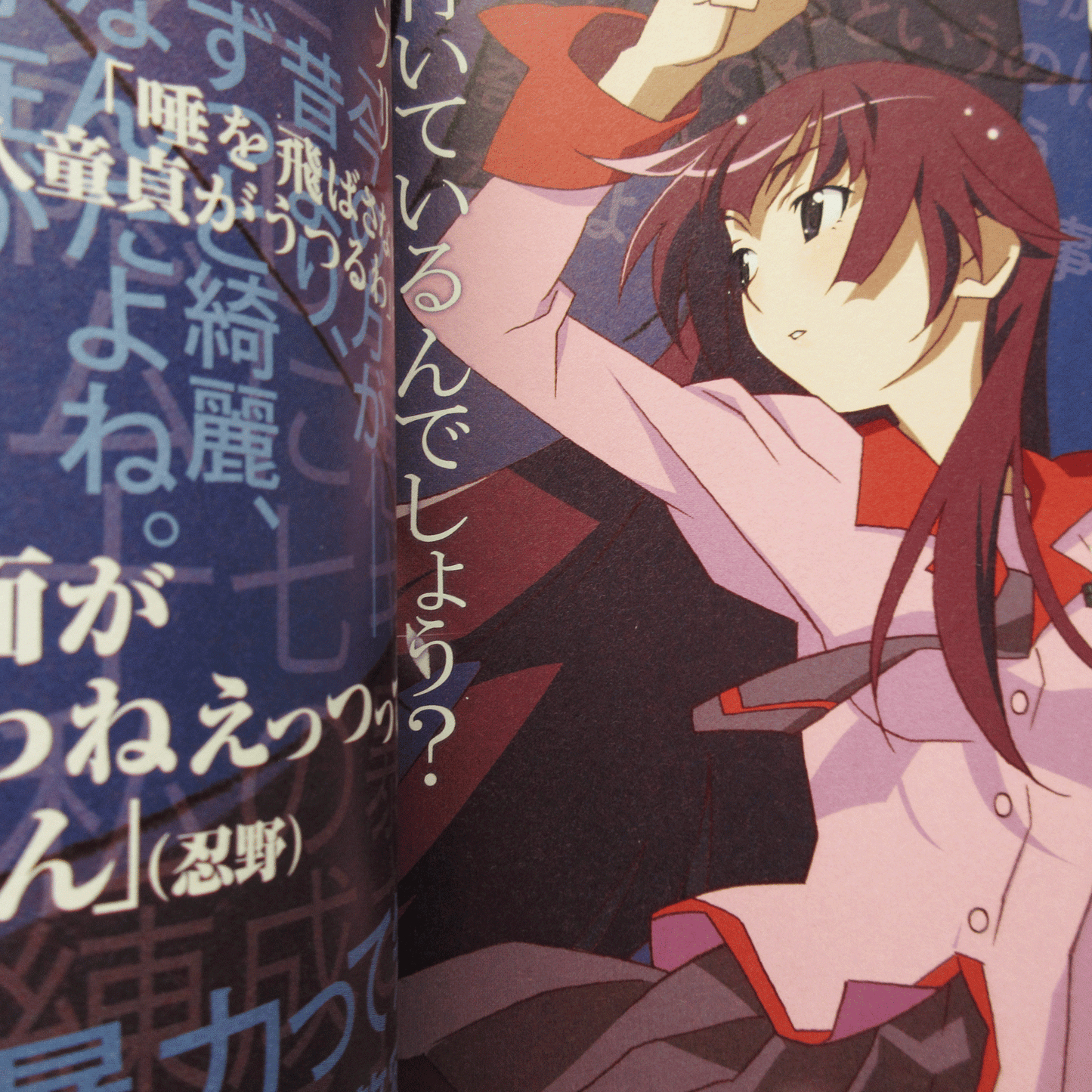 Bakemonogatari Anime Complete Guide Book