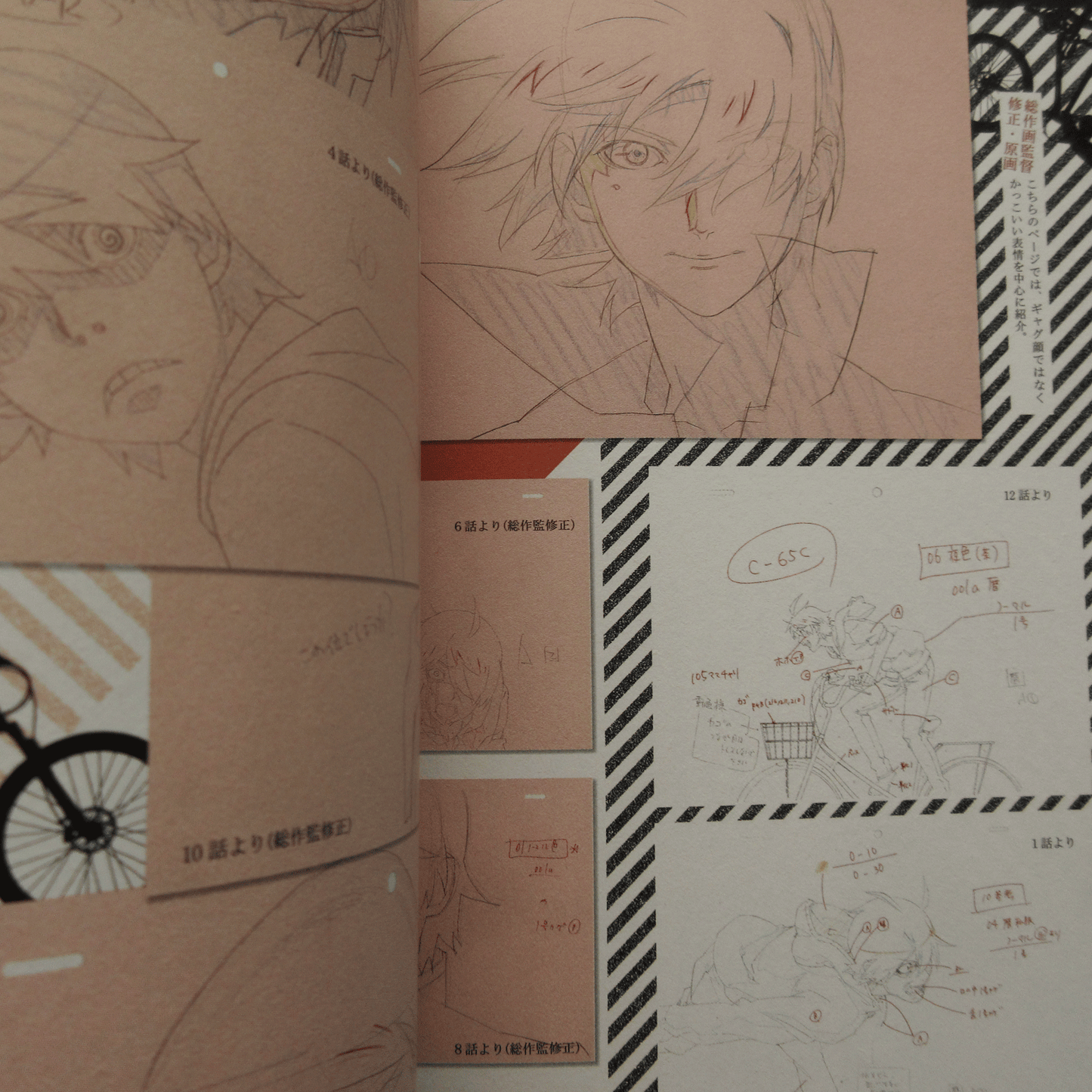 Bakemonogatari Anime Complete Guide Book