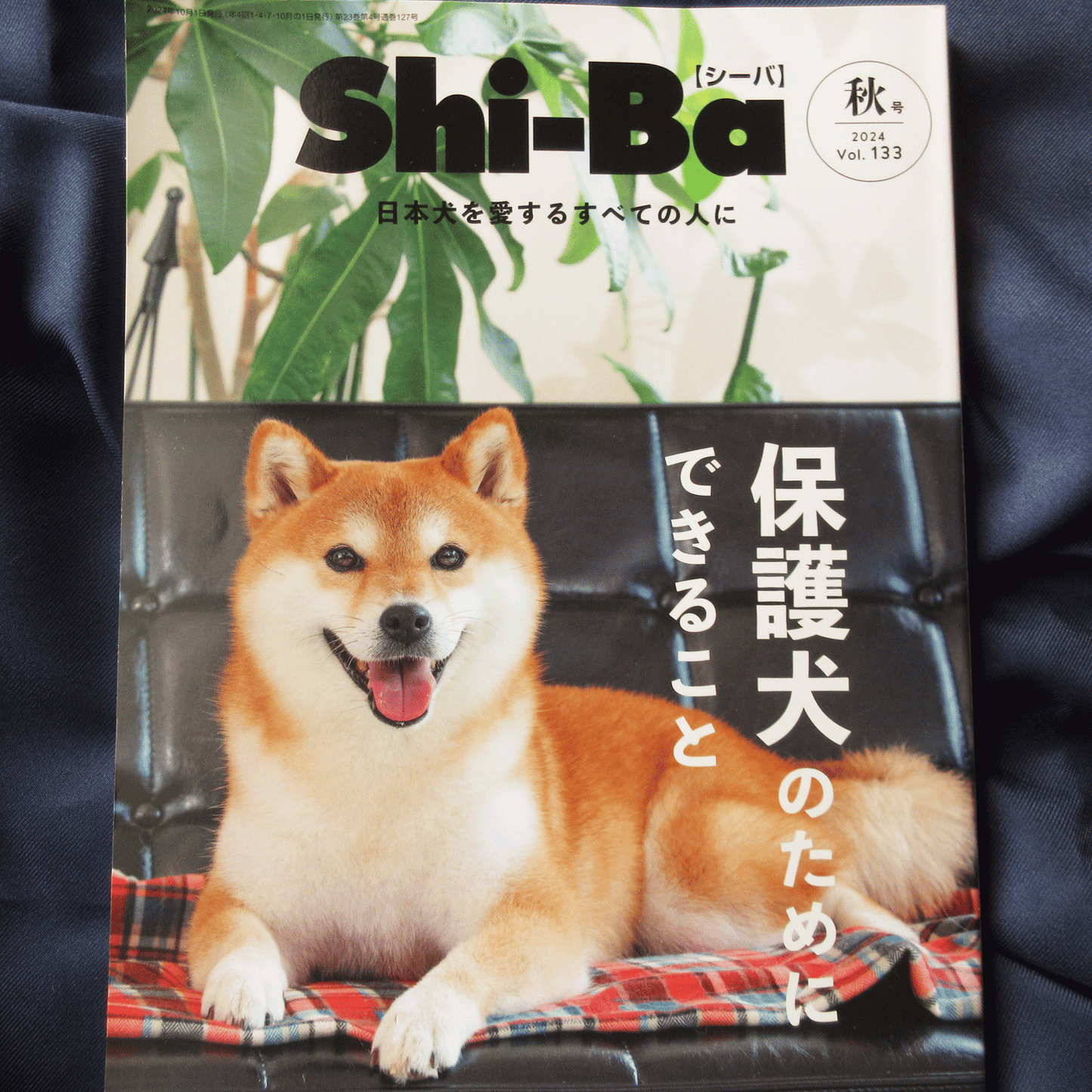 Shi-Ba Vol.133 Autumn 2024