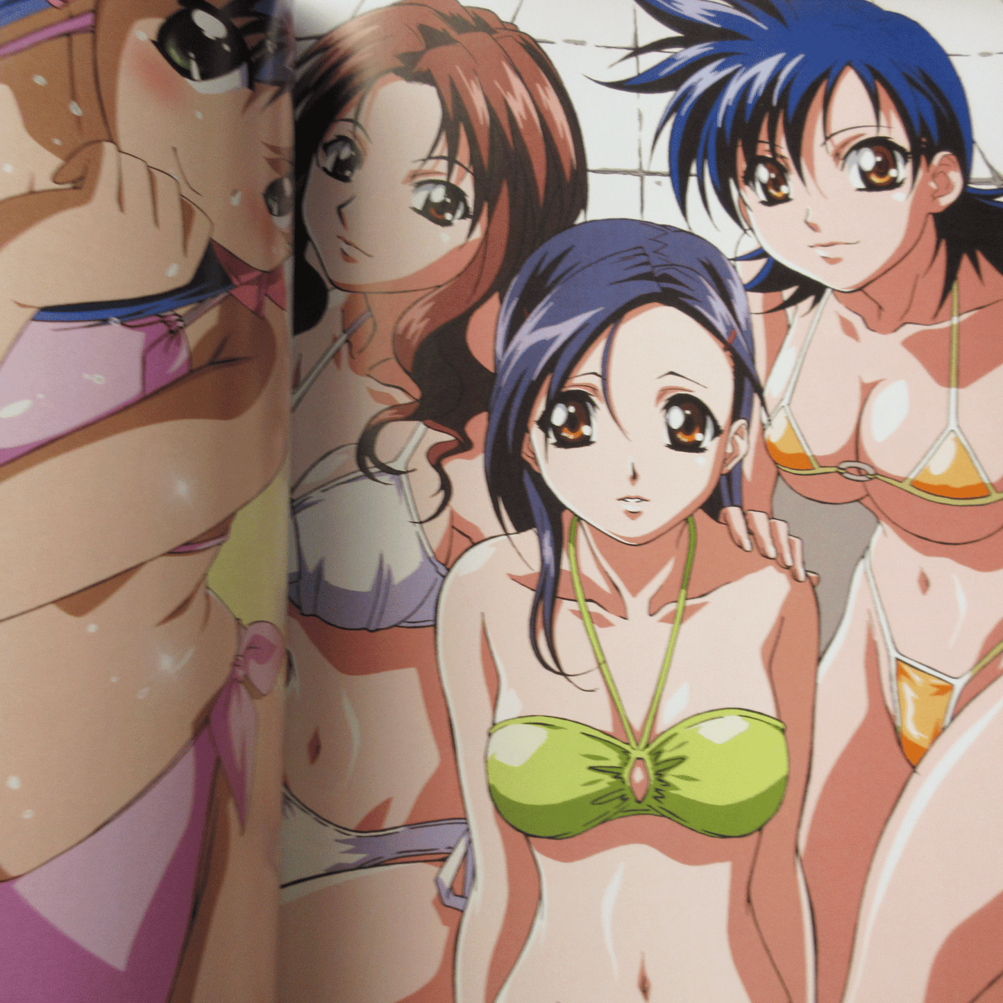 Megami Magazine DELUXE Vol.5