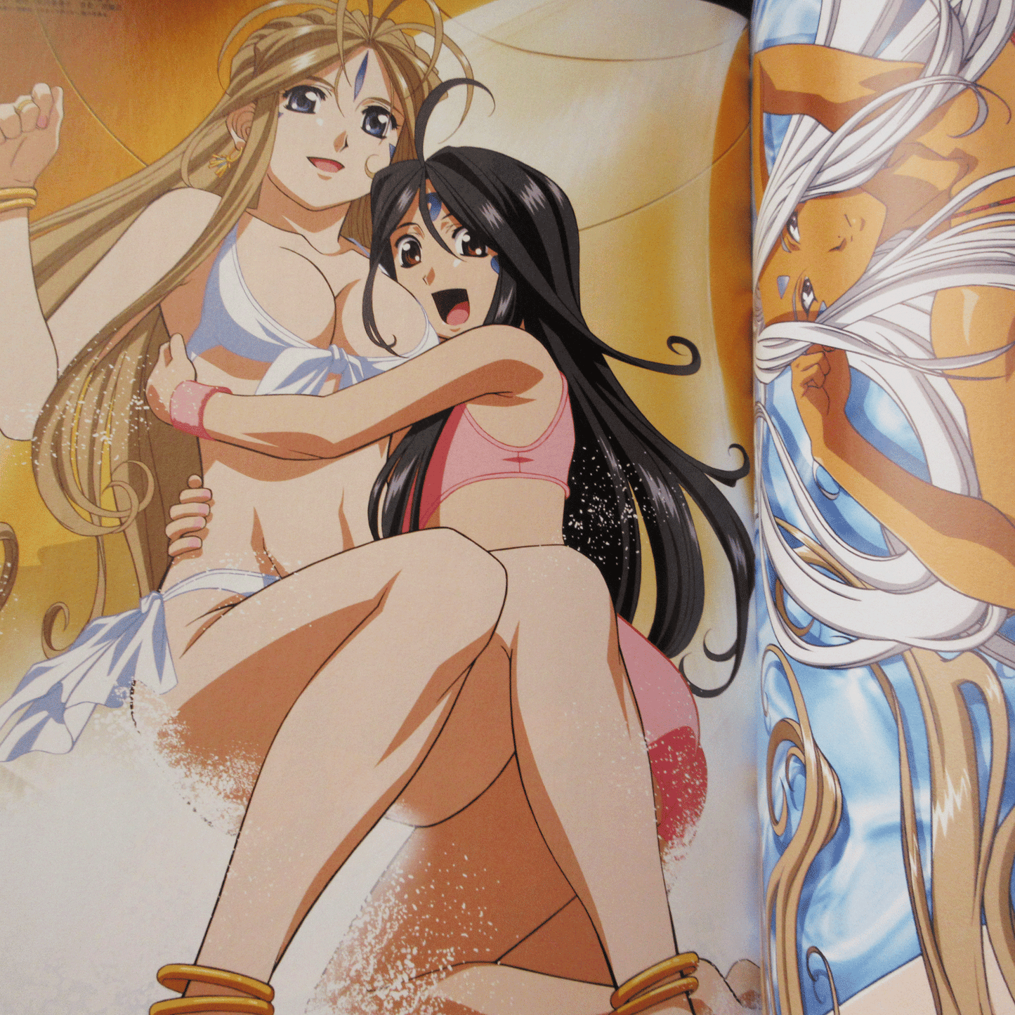Megami Magazine DELUXE Vol.5